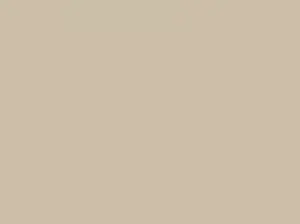 Paperbark concrete colour swatch — Affordable Coastal Driveways