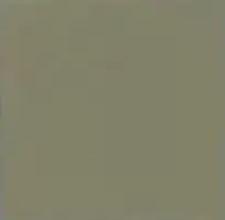Everglade concrete colour swatch — Affordable Coastal Driveways