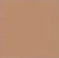 Arizona concrete colour swatch — Affordable Coastal Driveways
