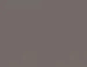 Wallaby concrete colour swatch — Affordable Coastal Driveways