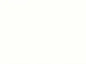 Cool White concrete colour swatch — Affordable Coastal Driveways