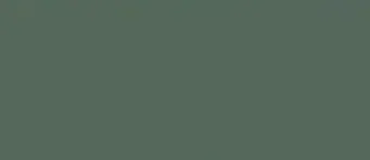 Wilderness concrete colour swatch — Affordable Coastal Driveways