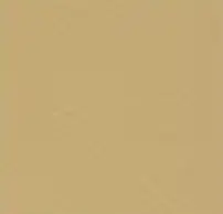 Turmeric concrete colour swatch — Affordable Coastal Driveways