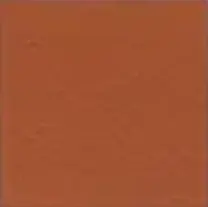 Terracotta concrete colour swatch — Affordable Coastal Driveways