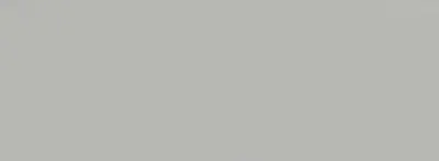 Shale Grey concrete colour swatch — Affordable Coastal Driveways