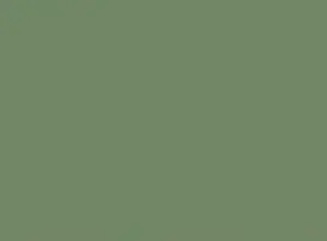 Pale Eucalypt concrete colour swatch — Affordable Coastal Driveways
