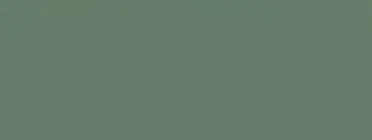 Mangrove concrete colour swatch — Affordable Coastal Driveways